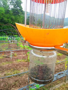 單燈太陽(yáng)能智能電網(wǎng)式滅蟲(chóng)器 前沿科技賦能綠色農(nóng)業(yè)，量產(chǎn)工藝揭示價(jià)錢密碼
